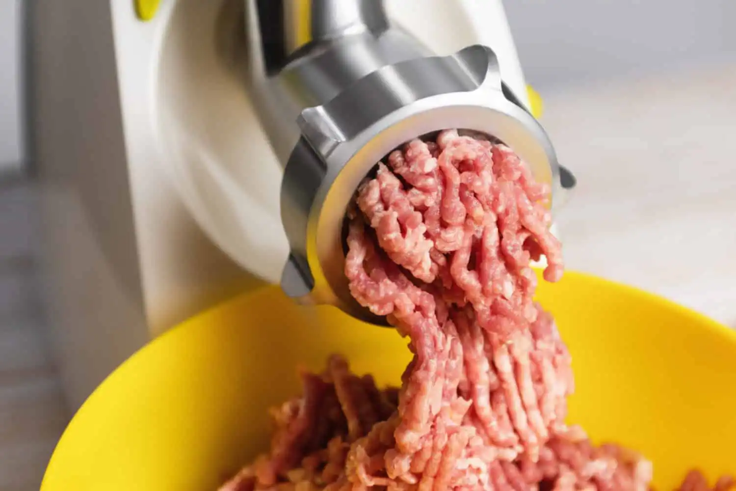 The Cater Ring minced meat electric meat grinder